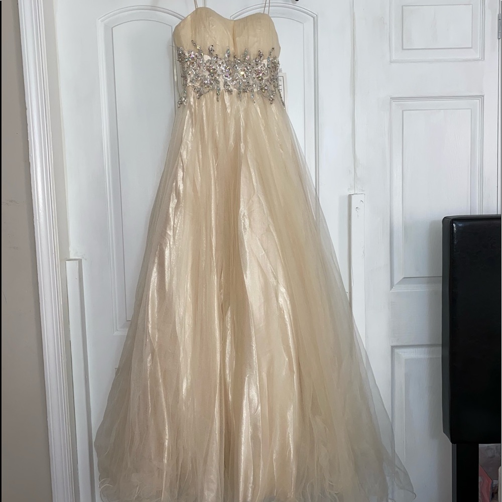 Quinceañera dress